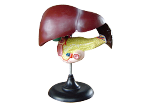 SD-093 33216ʮ֬cKģ